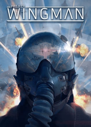 Project Wingman